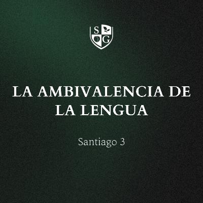 "La ambivalencia de la lengua" Santiago 3 | Hno. Georges Coppens