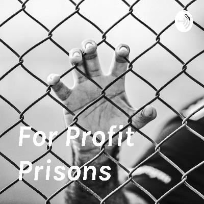 Crime and Criminal Justice - For Profit Prisons