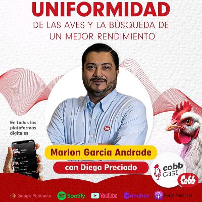 #01 Importancia de la uniformidad de las aves y la búsqueda de un mejor rendimiento