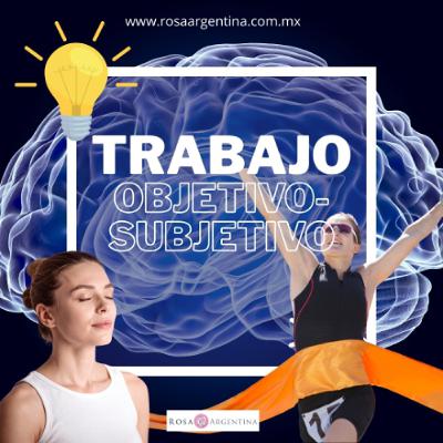 TRABAJO OBJETIVO Y SUBJETIVO ( EL PODER DE LA VISUALIZACIÓN)