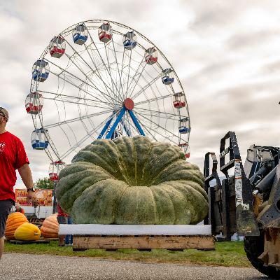 What to know about our favorite CT fall happenings