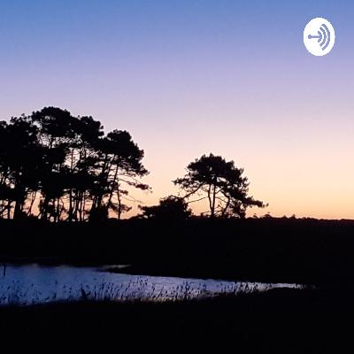 Crear un mundo mejor Crear un mundo mejor