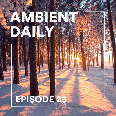 Episode 25 - Winter Forest