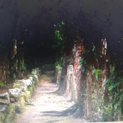 Cap. 1 - De repente, nas profundezas do bosque  - Amós Oz.