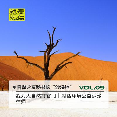 vol.09 我为大自然打官司｜对话环境公益诉讼律师“沙湿地”