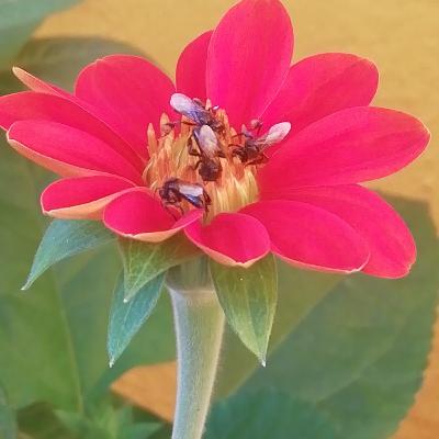 Agradeciendo por todo lo nuevo