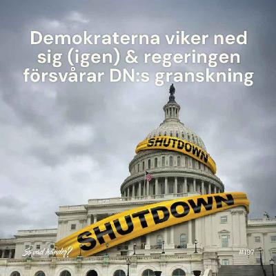 #197: Demokraterna viker ned sig (igen) & regeringen försvårar DN:s granskning #197: Demokraterna viker ned sig (igen) & regeringen försvårar DN:s granskning