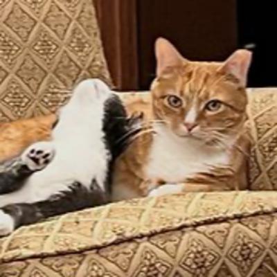 Episode 3031 CWSA 11/29/25 Episode 3031 CWSA 11/29/25