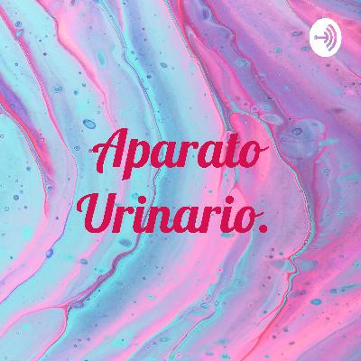 Aparato urinario