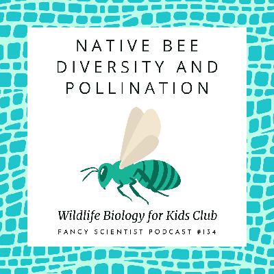 Native Bee Diversity and Pollination | Wildlife Biology for Kids Club