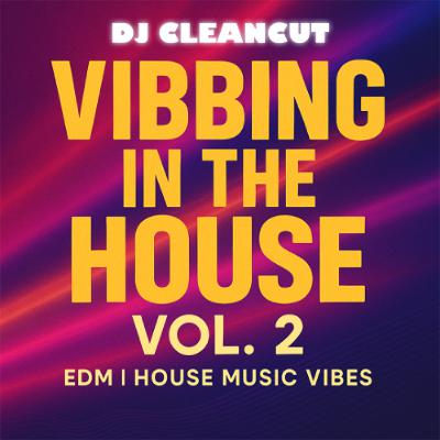 Dj Cleancut - VIBBING IN THE HOUSE 2 Dj Cleancut - VIBBING IN THE HOUSE 2