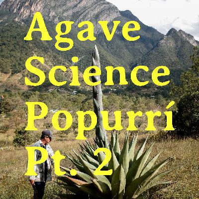 Agave Science Popurrí Pt. 2