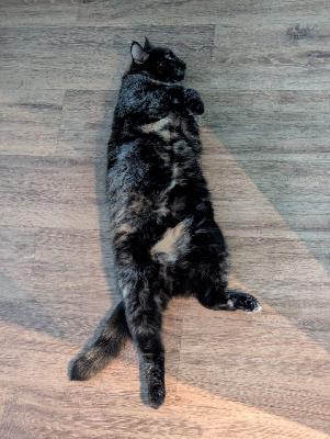 Новогодняя ночь 2.0