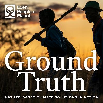 Beyond Tree Planting: Transforming Landscapes for Climate Resilience and Community Prosperity