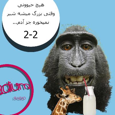 دو دو(S2-EP2)-هیچ حیوونی وقتی بزرگ میشه شیر نمی‌خوره جز آدم