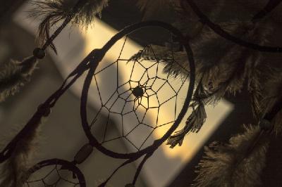 Hiza Zen - 24.01.2020 - Corine Sombrun, ou l'initiation d'une chamane