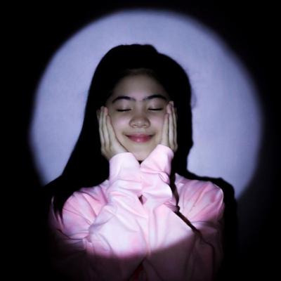 Peran pelaku ekonomi dalam perekonomian