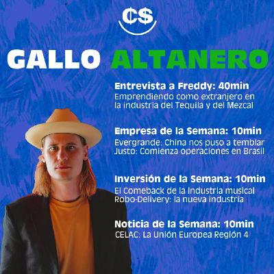 Gallo Altanero Gallo Altanero