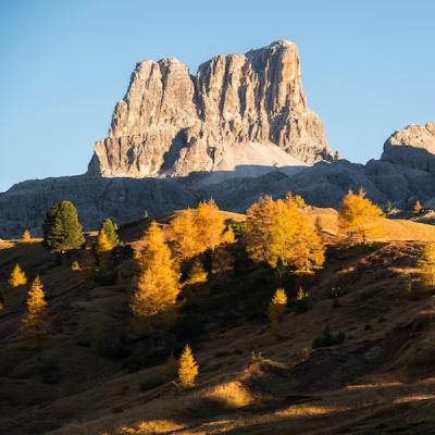 Venerdì della XXXII° settimana TO Venerdì della XXXII° settimana TO