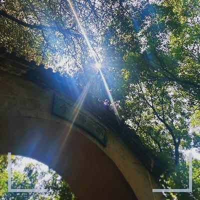 年轻人的苦,寺庙最清楚 | 上班和上进我选上香 年轻人的苦,寺庙最清楚 | 上班和上进我选上香