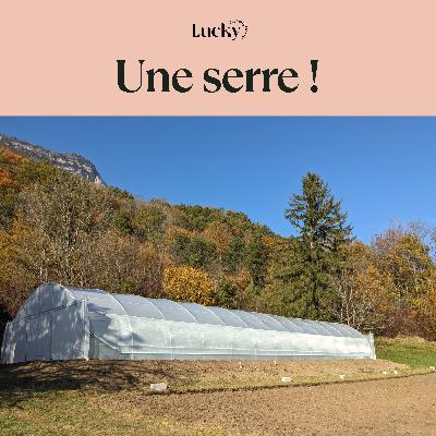 Ep 4 : J'installe (enfin) une serre dans ma ferme florale