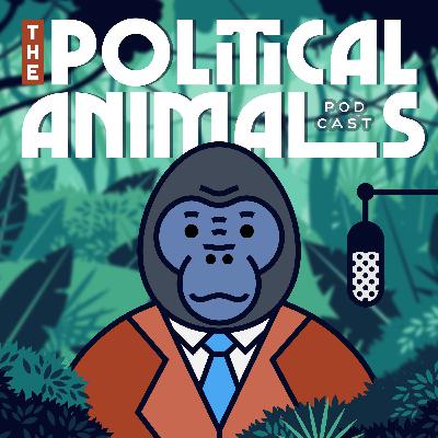 Alex McEncroe: From Anarcho-Capitalist to Conservative Liberal (via Traditionalist Conservatism)