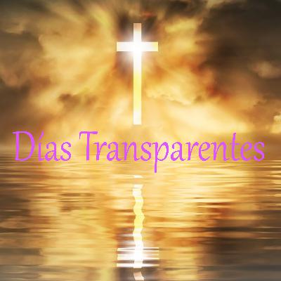 Días Transparentes. Soledad aun en grupo. Emisión # 2.