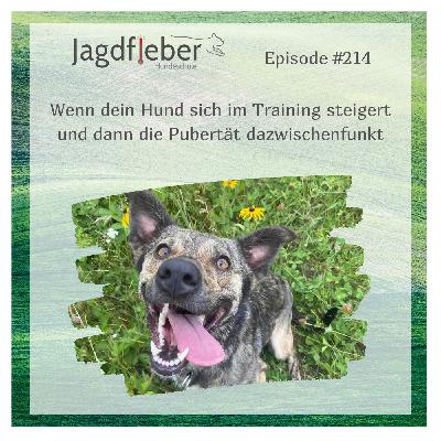 P214: Wenn dein Hund sich im Training steigert und dann die Pubertät dazwischenfunkt