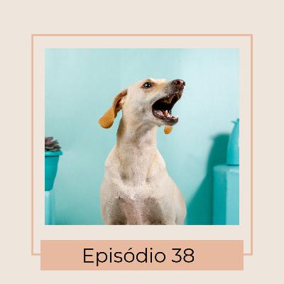 Porque meu cachorro late tanto?