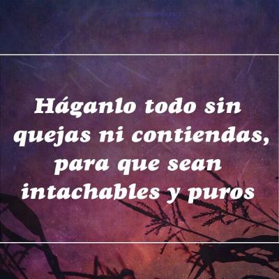 Devocional.No a la Contienda