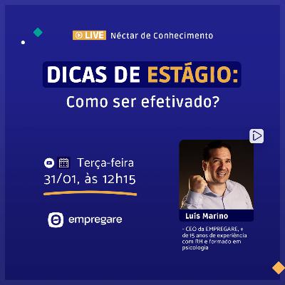 Dicas de estágio: como ser efetivado? - Néctar de Conhecimento #33 Dicas de estágio: como ser efetivado? - Néctar de Conhecimento #33