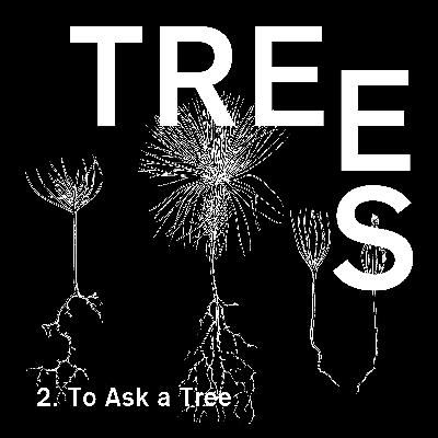 Trees - Episode 2 - To Ask a Tree