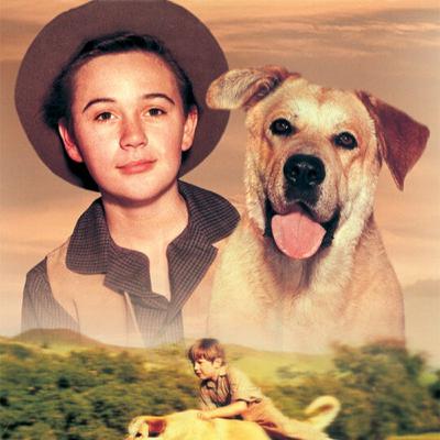 Old Yeller