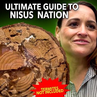 3: The Ultimate Guide to Nisus Nation™️: Termites NOT included!