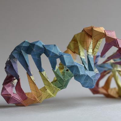 Ep545_B: 11F; Dinosaurios; Sag A*; Genes y Psiquiatría; AlphaGenome; ADN Origami