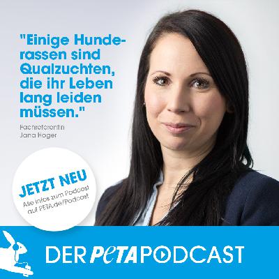 Leben mit anderen TIeren