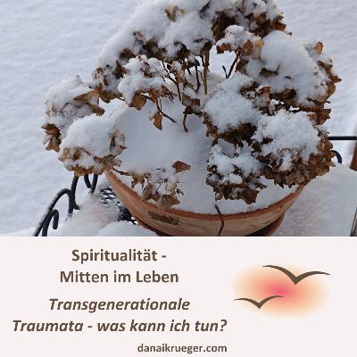 #11 Transgenerationale Traumata - Was ist das und was kann ich tun? #11 Transgenerationale Traumata - Was ist das und was kann ich tun?