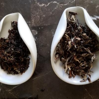 Tea in Taiwan with Jason Chang of Teaful.co