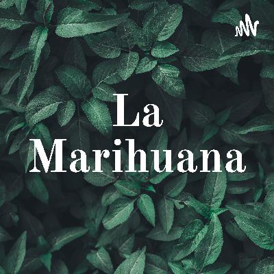 Marihuana