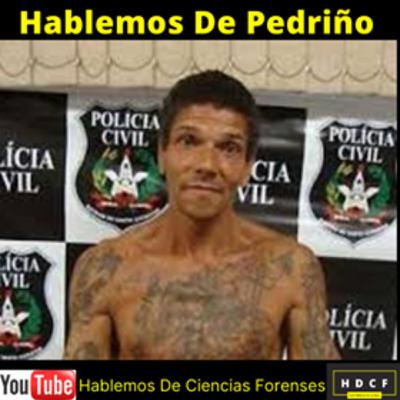 hablemos de Pedrinho " El Matador" #5