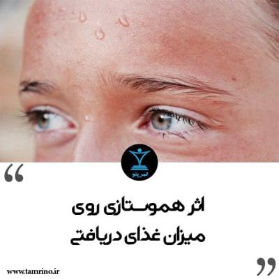 اثر هموستازی روی میزان غذای دریافتی (هوش مصنوعی)