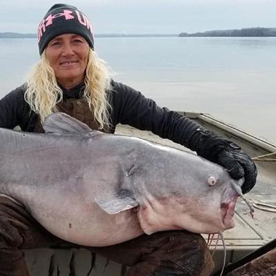 Budidaya lele Budidaya lele