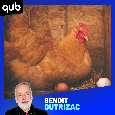 JiC s’ouvre sur le deuil de… sa poule!