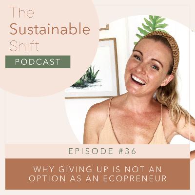 Why Giving Up is Not An Option as an Ecopreneur