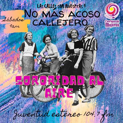 No más acoso callejero No más acoso callejero