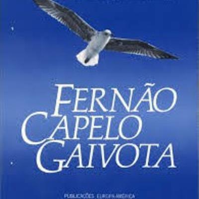 Quais são seus limites?