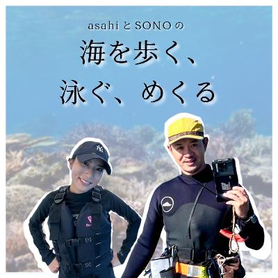 第1回 沖縄の美しいビーチは何でできている? 第1回 沖縄の美しいビーチは何でできている?