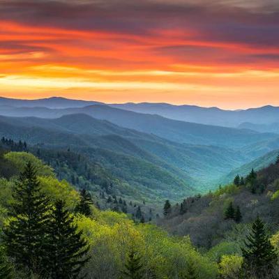 Our National Park Odyssey - Hog Pits and Angry Elk in the Smokies