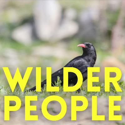 We're Back (Like The Beaver) We're Back (Like The Beaver)