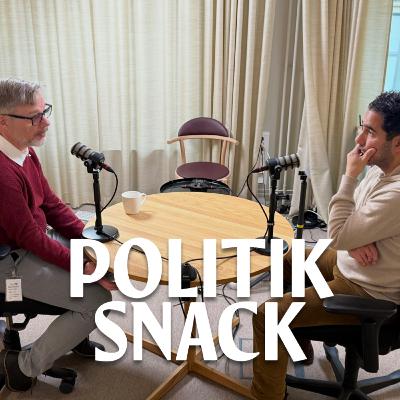 27. Laddade för valår + Gäst: Ardalan Shekarabi